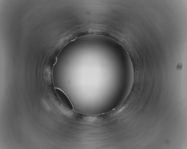 X0000092010575200709201533