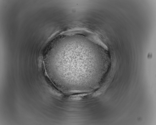 X0000092010576200709201533