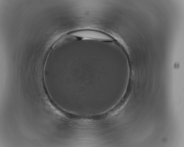 X0000092010577200709201532