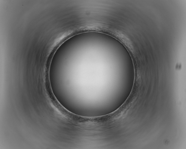 X0000092010578200709201532