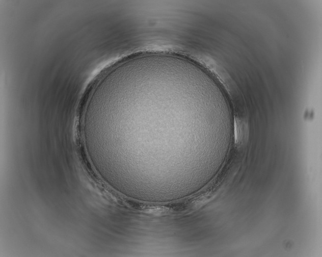 X0000092010579200709201532