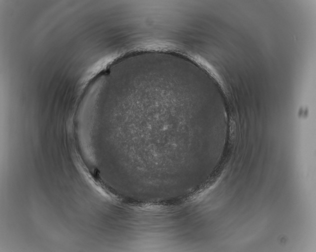 X0000092010581200709201532