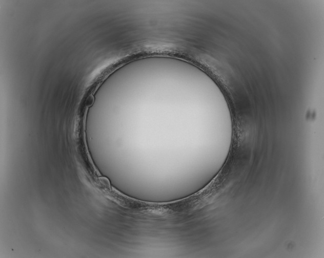 X0000092010583200709201532