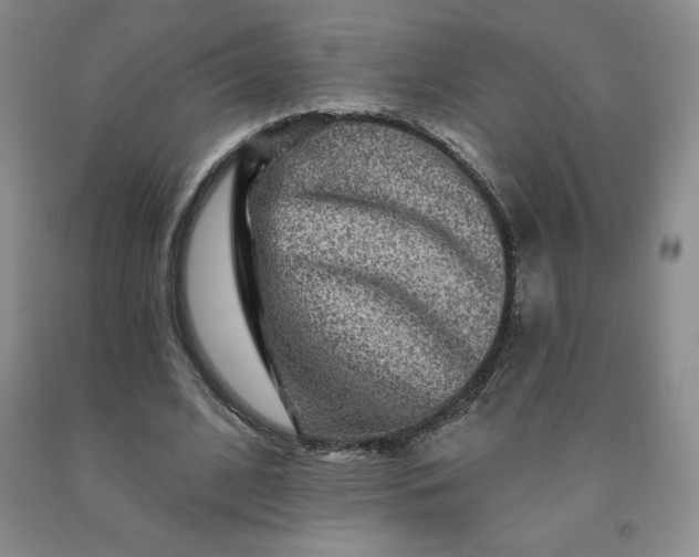 X0000092010584200709201532