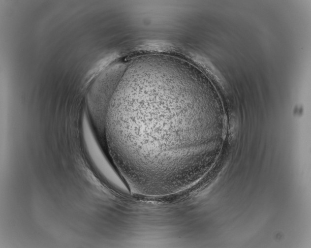 X0000092010585200709201532