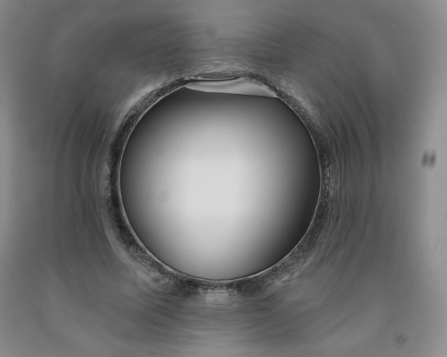 X0000092010587200709201532