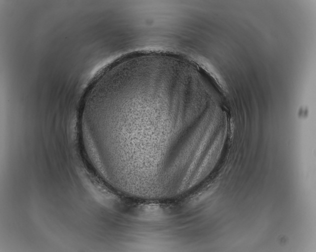 X0000092010588200709201532
