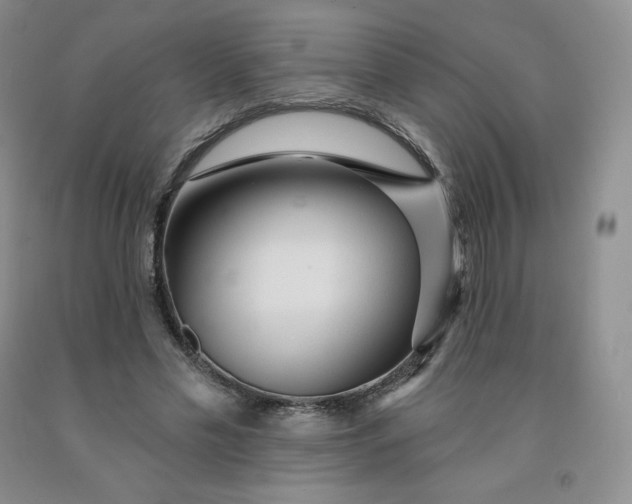X0000092010589200709201532