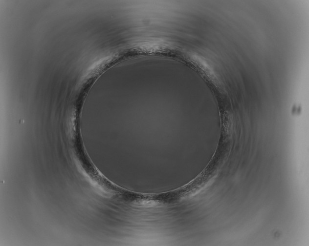 X0000092010590200709201532