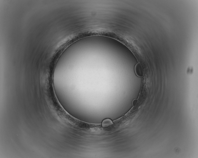 X0000092010591200709201532