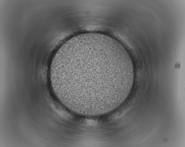 X0000092010592200709201532
