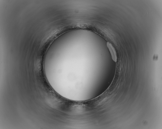 X0000092010595200709201532
