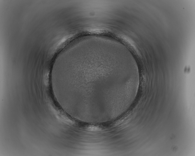 X0000092010596200709201532