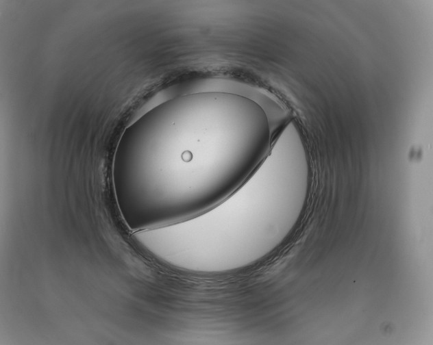 X0000092010597200709201532