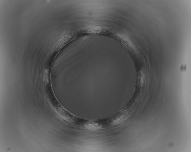 X0000092010598200709201532