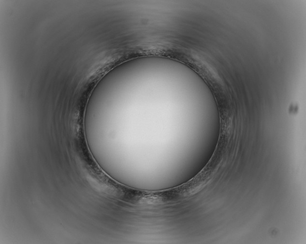 X0000092010599200709201532