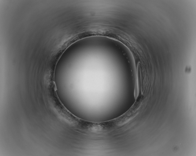 X0000092010600200709201532
