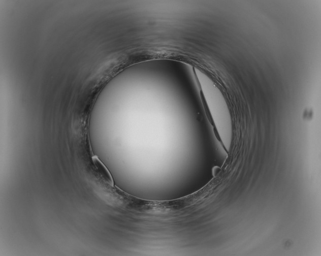 X0000092010601200709201532