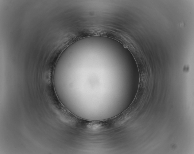 X0000092010602200709201532
