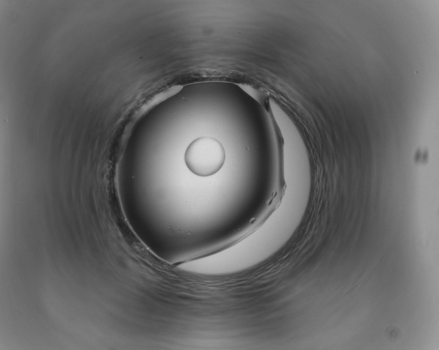 X0000092010604200709201532