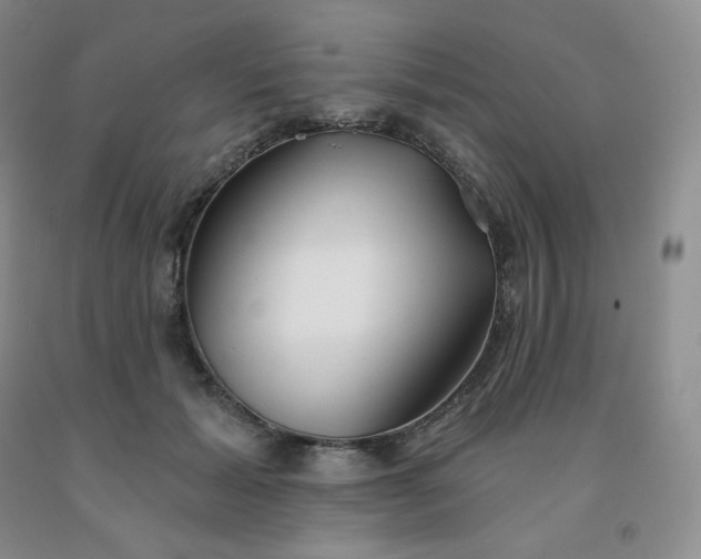X0000092010605200709201532