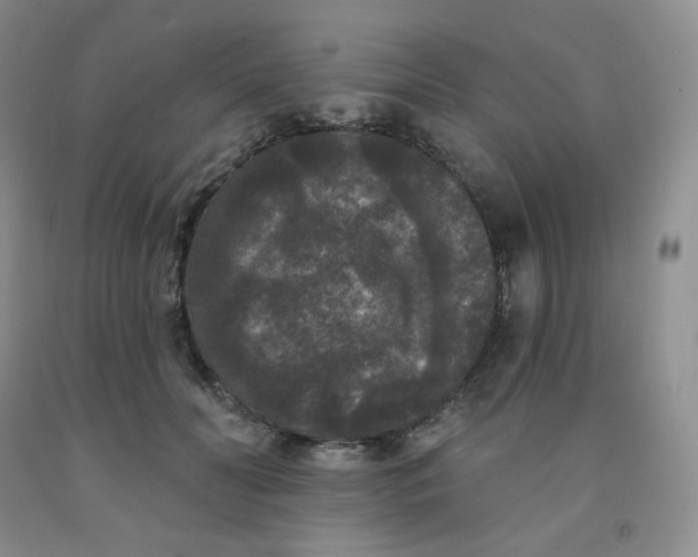 X0000092010606200709201532