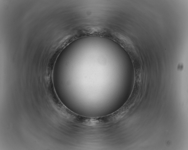 X0000092010607200709201532