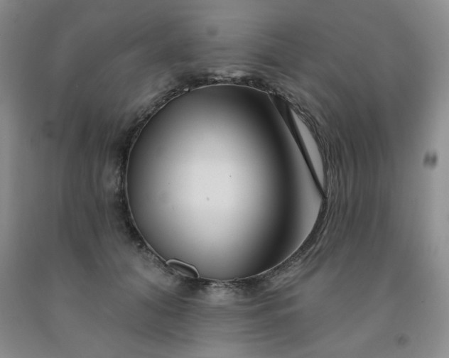 X0000092010608200709201532