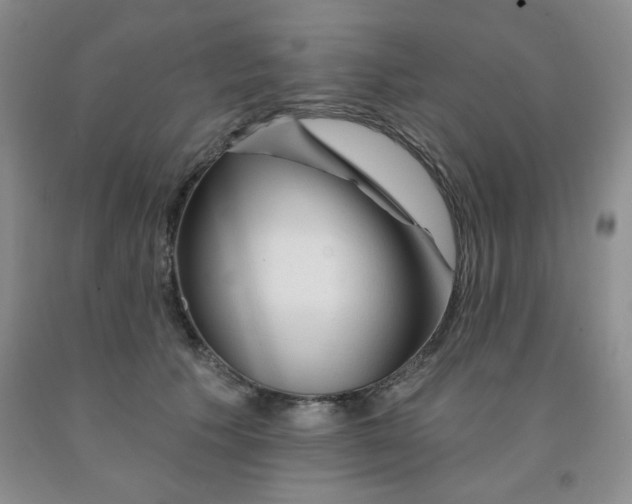 X0000092010609200709201532