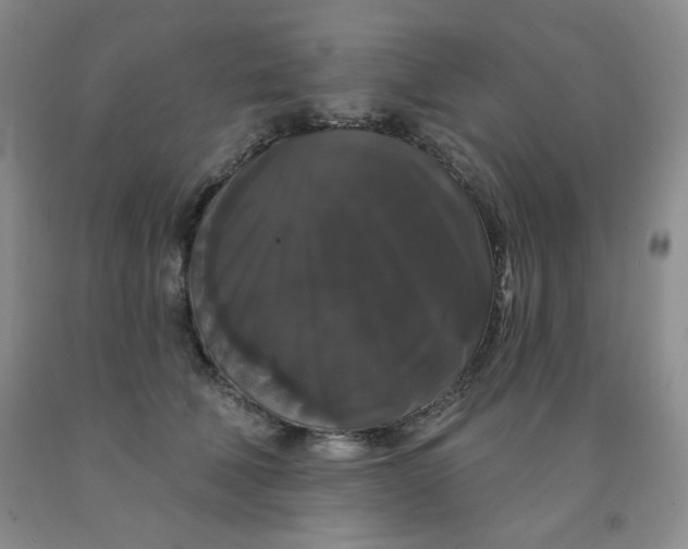 X0000092010610200709201532