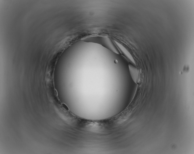 X0000092010611200709201532