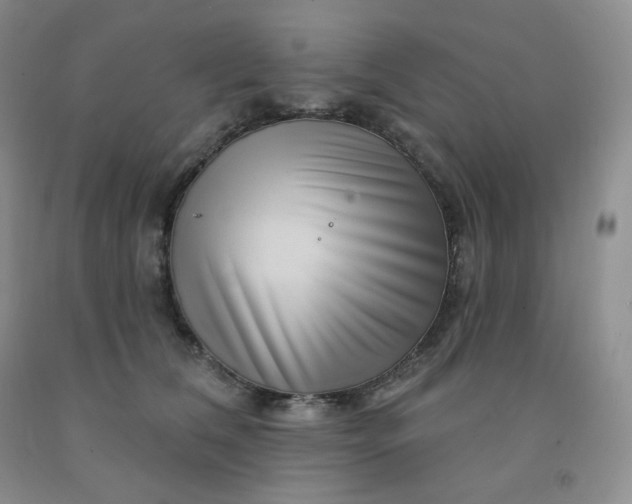 X0000092010612200709201532