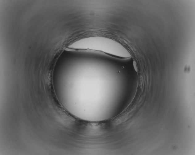 X0000092010613200709201532