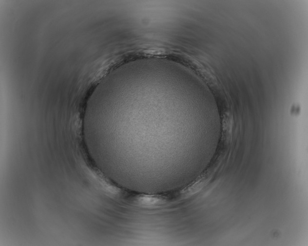 X0000092010614200709201532