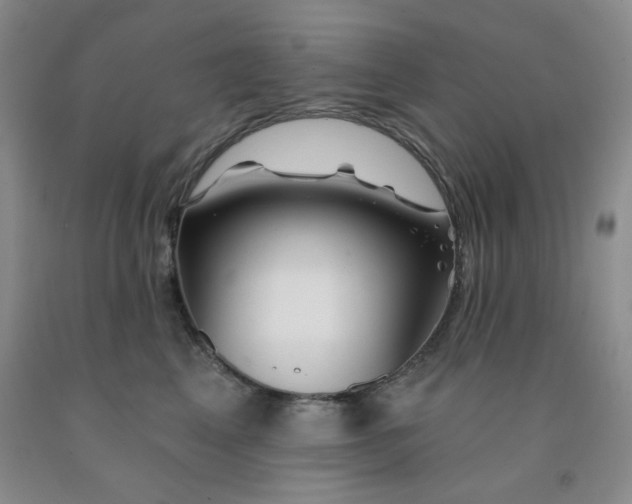 X0000092010617200709201531