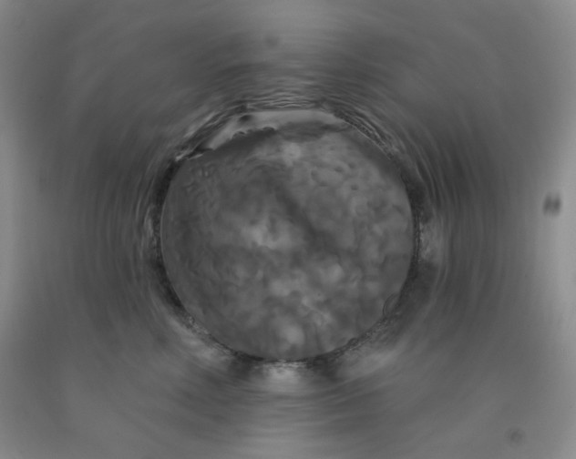 X0000092010618200709201531