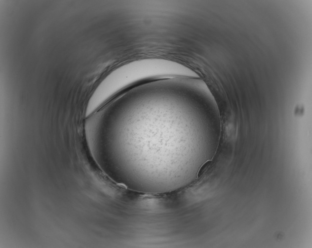 X0000092010620200709201531