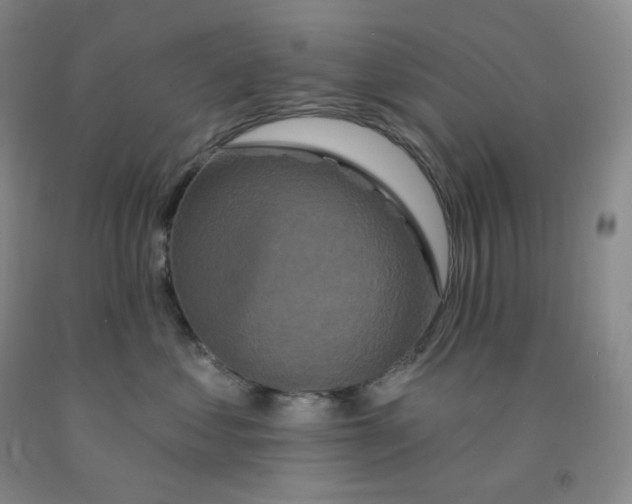X0000092010621200709201531