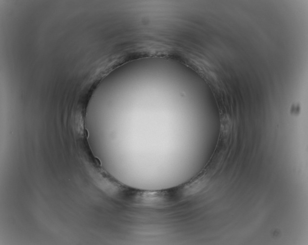 X0000092010622200709201531