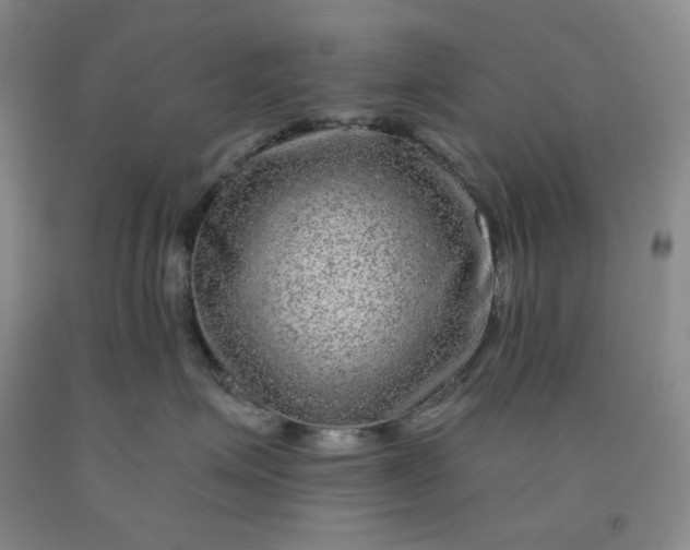 X0000092010623200709201531