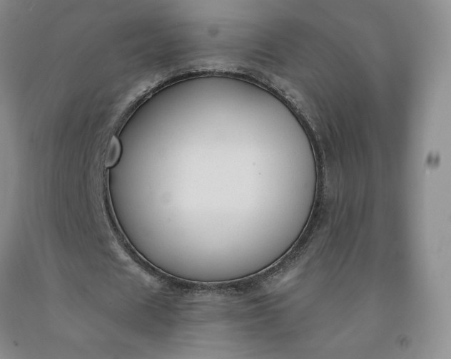 X0000092010625200709201531