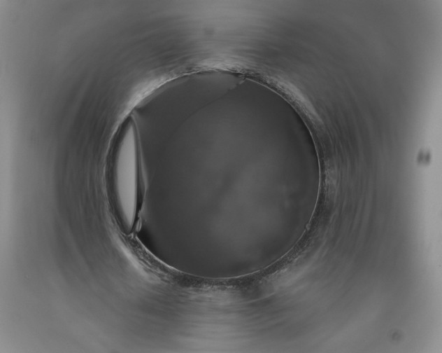 X0000092010626200709201531