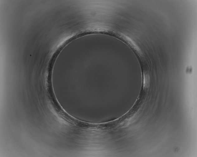 X0000092010627200709201531