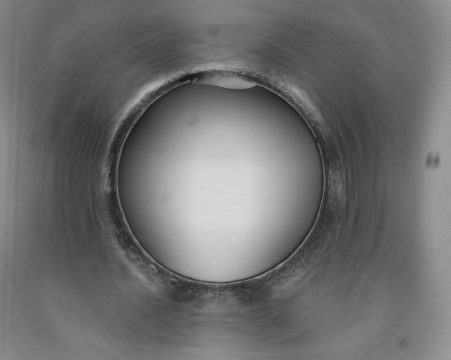 X0000092010628200709201531