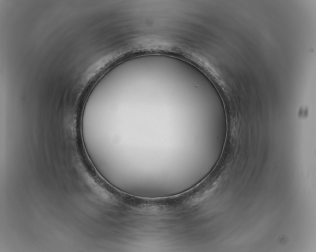 X0000092010629200709201531