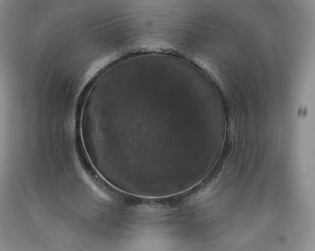 X0000092010630200709201531