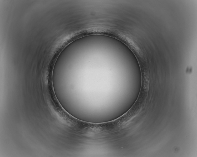 X0000092010631200709201531