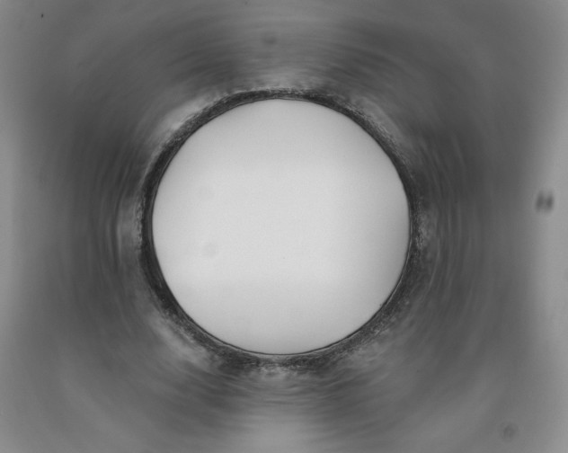 X0000092010632200709201531