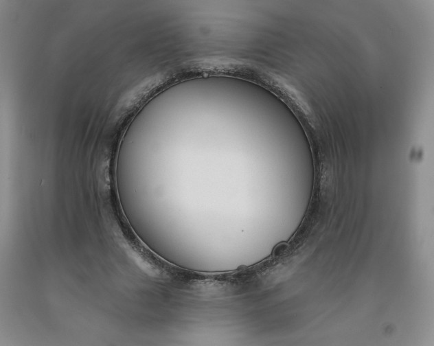 X0000092010633200709201531