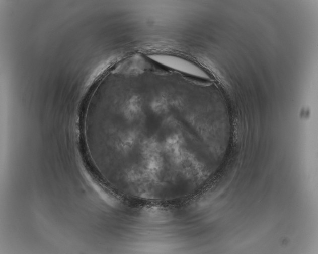 X0000092010634200709201531